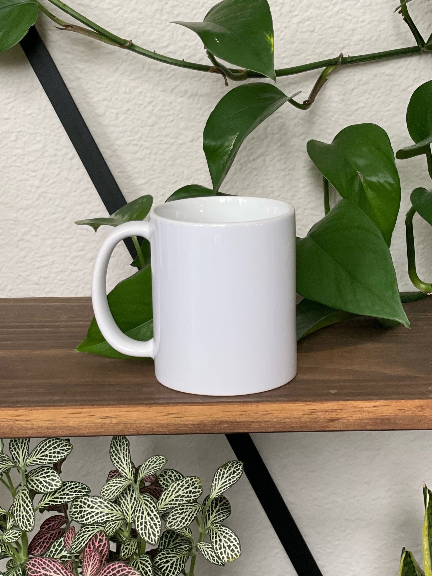 Custom Drinkware Collection
