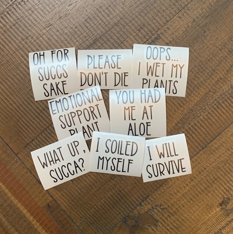 Funny Plant Pot Decals