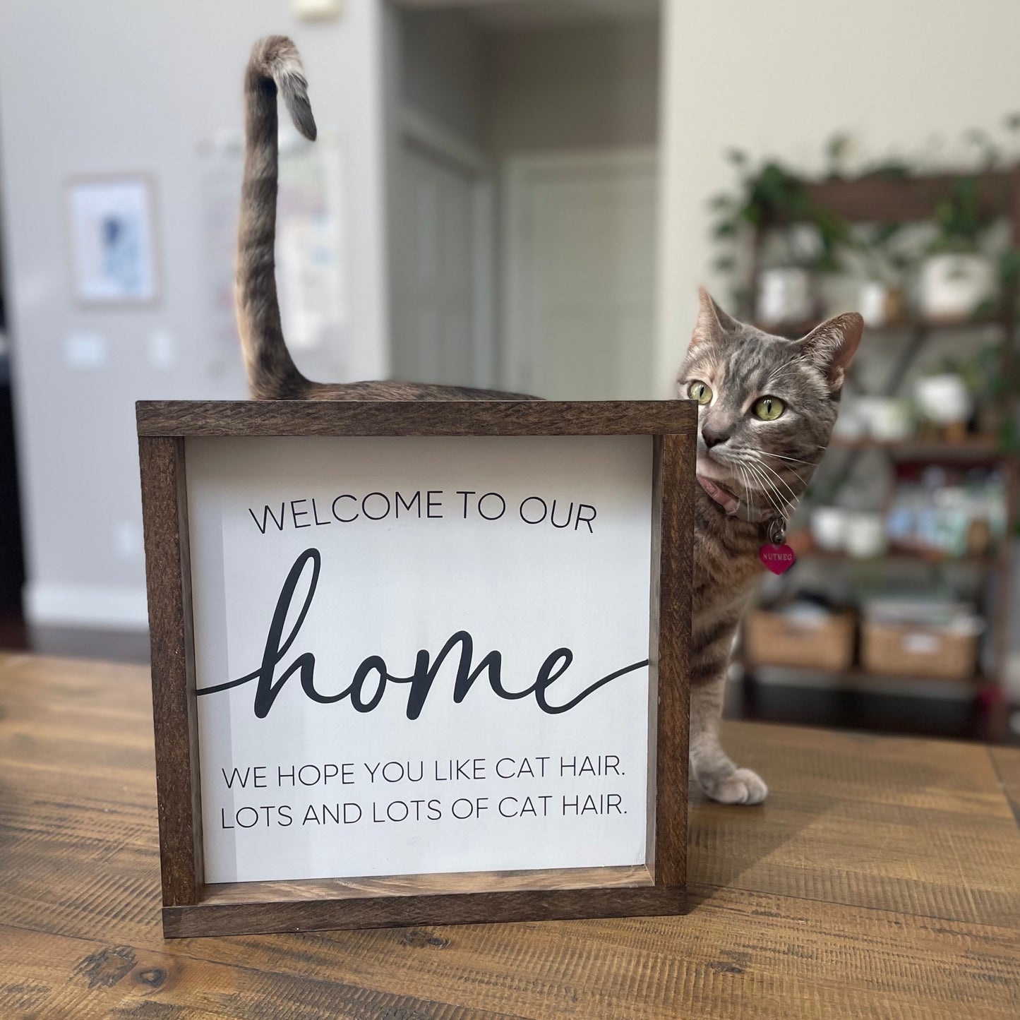 Cat Hair Wood Sign
